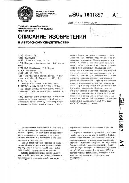 Штамм гриба aspergillus oryzae (анlвurg) сонn - продуцент ксиланазы (патент 1641887)