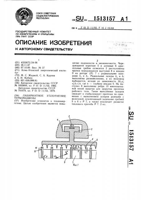 Лабиринтное уплотнение турбомашины (патент 1513157)