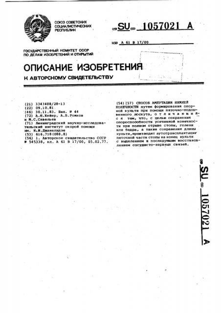 Способ ампутации нижней конечности (патент 1057021)