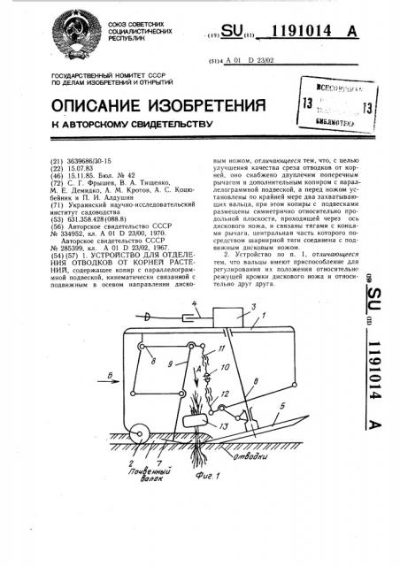 Устройство для отделения отводков от корней растений (патент 1191014)