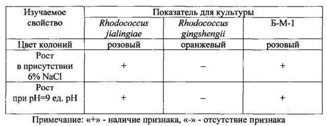 Штамм бактерий rhodococcus jialingiae б-м-1 вкпм ас-1967 - деструктор нефти и нефтепродуктов (патент 2618838)