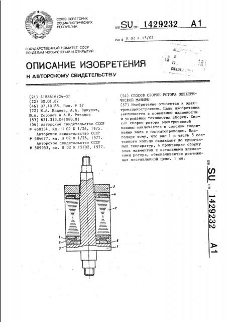 Способ сборки ротора электрической машины (патент 1429232)