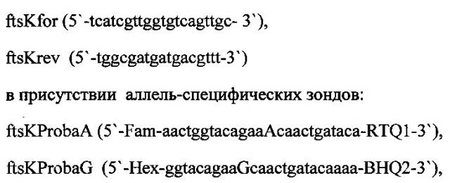 Способ дифференциации штаммов yersinia pestis на основной и неосновные подвиды методом пцр в режиме реального времени (патент 2642273)