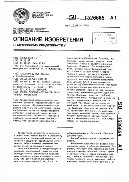 Способ лечения сосудистой эректильной импотенции (патент 1526658)