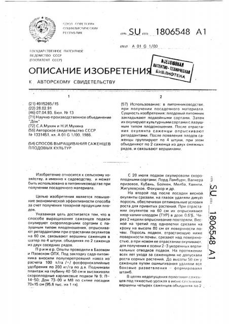Способ выращивания саженцев плодовых культур (патент 1806548)