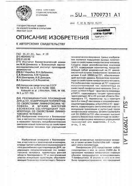 Рекомбинантная плазмидная днк plt21, кодирующая полипептид со свойствами лимфотоксина человека, и штамм бактерий escherichiacol - продуцент полипептида со свойствами лимфотоксина человека (патент 1709731)