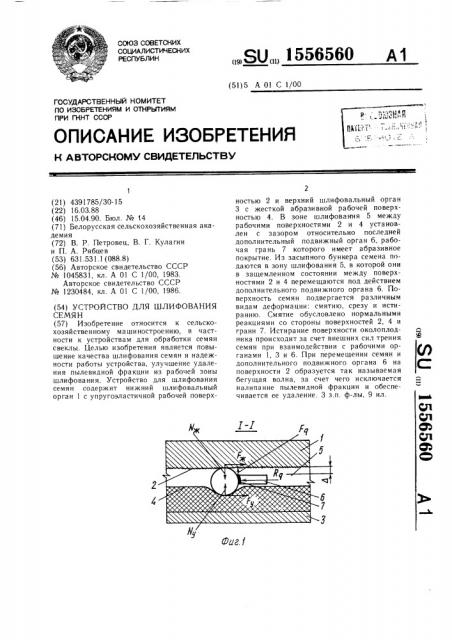 Устройство для шлифования семян (патент 1556560)