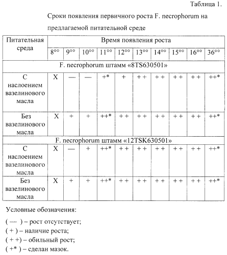 Питательная среда для выявления возбудителя некробактериоза (патент 2569456)