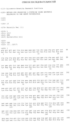 Бактерия, принадлежащая к роду escherichia, - продуцент l-цистеина и способ получения l-цистеина (патент 2275425)