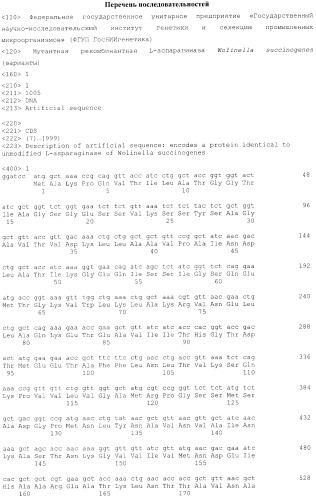 Мутантная рекомбинантная l-аспарагиназа wolinella succinogenes (варианты) (патент 2545722)