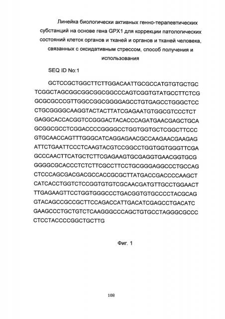 Линейка биологически активных генно-терапевтических субстанций на основе гена gpx1 для коррекции патологических состояний клеток органов и тканей и органов и тканей человека, связанных с оксидативным стрессом, способ получения и использования (патент 2653491)