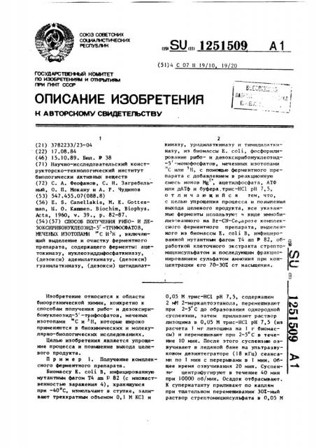 Способ получения рибои дезоксирибонуклеозид-5 @ - трифосфатов, меченных изотопами @ с и @ н (патент 1251509)