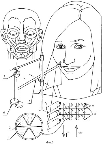 Способ тренировки лицевых мышц (патент 2405610)
