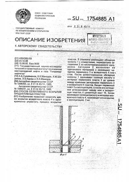 Способ селективного вскрытия продуктивных пластов (патент 1754885)