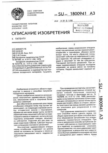 Способ выращивания саженцев плодовых и декоративных культур (патент 1800941)