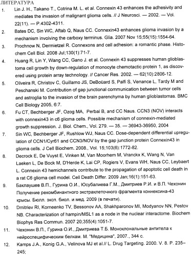 Бинарная иммунолипосомальная наносистема адресной доставки к коннексин-43 положительным опухолевым клеткам (патент 2422154)