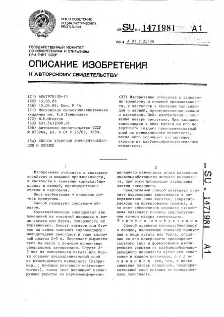 Способ хранения корнеклубнеплодов и овощей (патент 1471981)