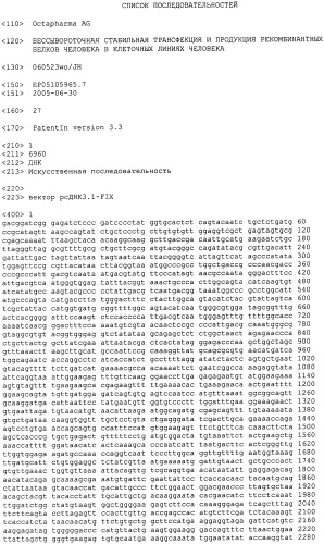 Способ получения иммортализованной клетки человека, стабильно трансфицированная иммортализованная клетка человека, способ рекомбинантной продукции целевого белка человека, применение вектора трансфекции (патент 2453597)