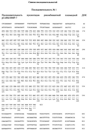 Рекомбинантный белок collbd-bmp-7, рекомбинантная плазмида pcollbd-bmp-7, штамм escherichia coli-продуцент рекомбинантного белка collbd-bmp-7, способ получения рекомбинантного белка collbd-bmp-7 (патент 2408730)