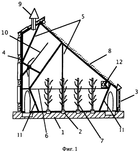 Фабрика-теплица для интенсивного растениеводства (устройство и способ) (патент 2487527)