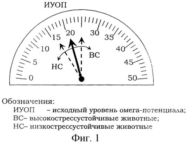 Способ оценки стрессустойчивости крупного рогатого скота (патент 2246214)