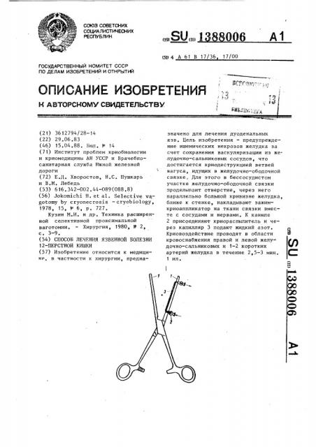 Способ лечения язвенной болезни 12-перстной кишки (патент 1388006)