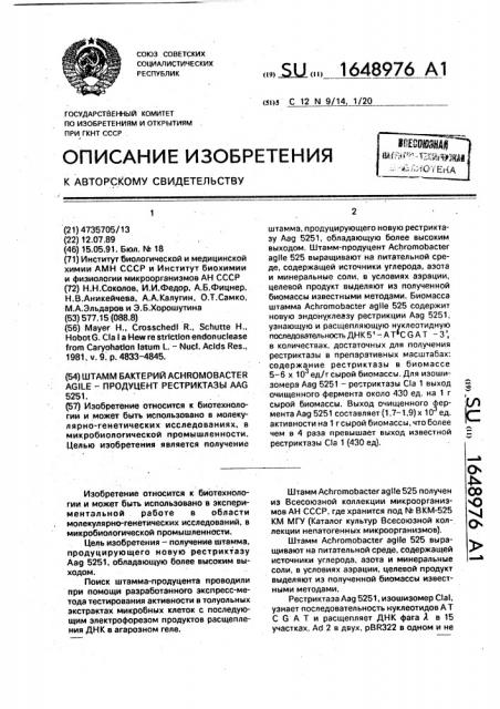 Штамм бактерий аснrомовастеr agile - продуцент рестриктазы aag 525 i (патент 1648976)