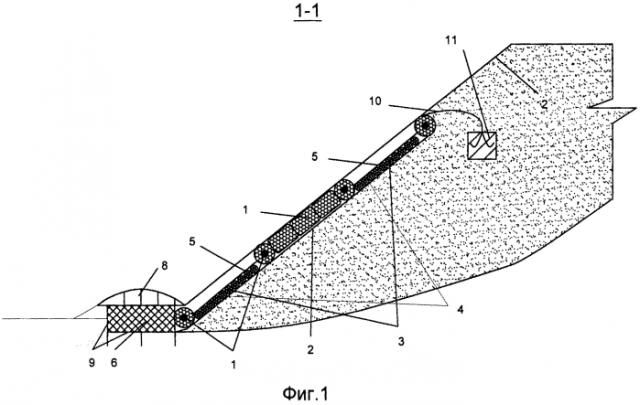 Способ возведения прибрежного крепления из фашин биопозитивной конструкции (патент 2569828)
