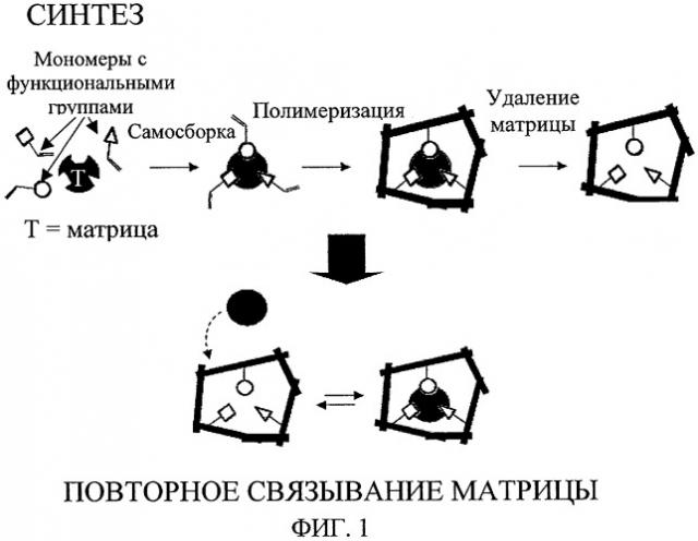 Молекулярно впечатанные полимеры, селективные по отношению к специфическим для табака нитрозаминам, и способы их применения (патент 2504307)