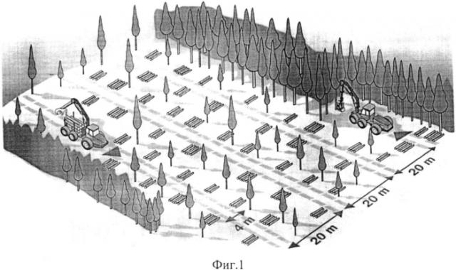 Способ разработки лесосек (патент 2571033)