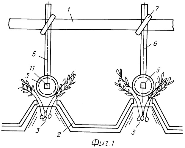 Устройство для сбора колорадского жука (патент 2469533)