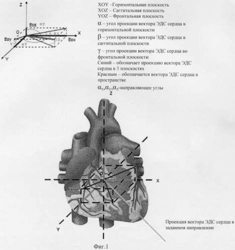 Устройство для регистрации электрокардиосигналов (патент 2269290)