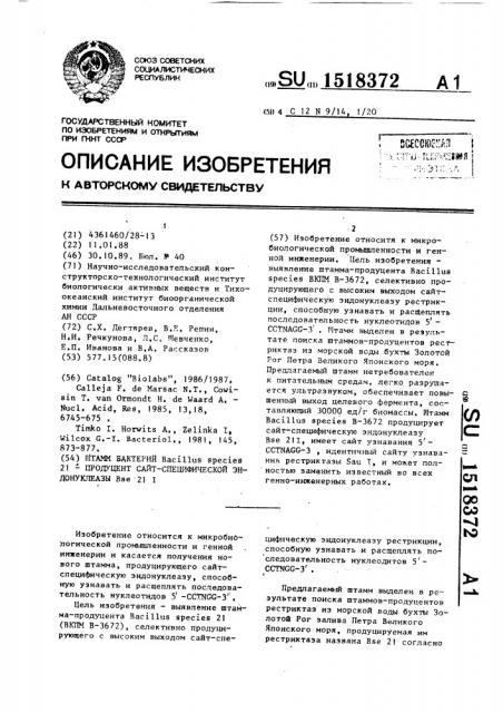 Штамм бактерий bacillus species 21-продуцент сайт- специфической эндонуклеазы rse21 1 (патент 1518372)