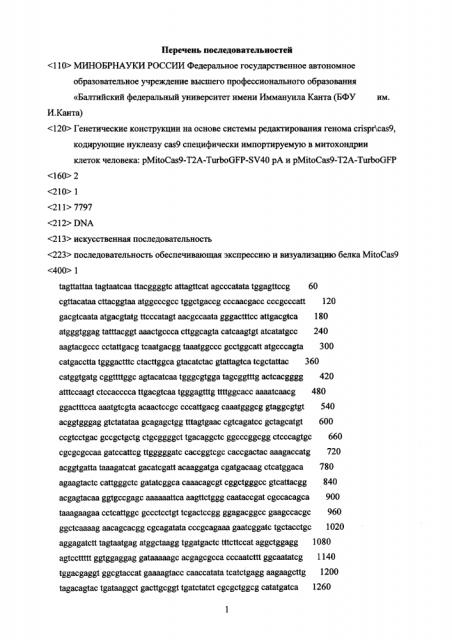 Генетическая конструкция на основе системы редактирования генома crispr/cas9, кодирующая нуклеазу cas9, специфически импортируемую в митохондрии клеток человека (патент 2634395)