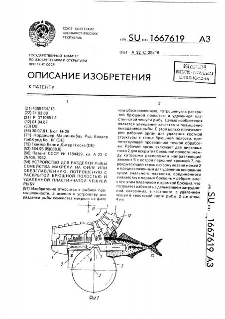 Устройство для разделки рыбы семейства макрели на филе или обезглавленную, потрошеную с раскрытой брюшной полостью и удаленной пластинчатой чешуей рыбу (патент 1667619)