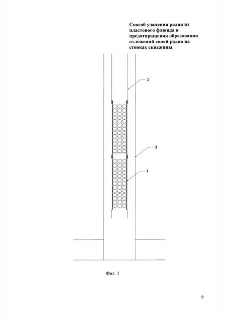 Способ удаления радия из пластового флюида и предотвращения образования солей радия на стенках скважины (патент 2667253)