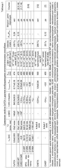 Мутантный канальный родопсин-2 (патент 2595384)