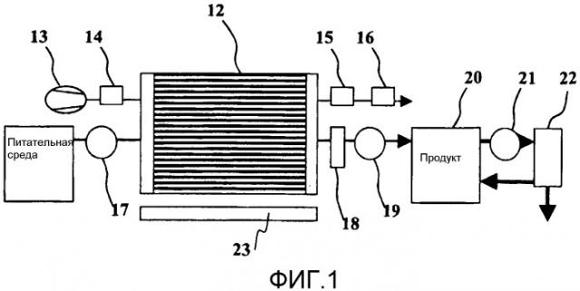 Биореактор с экспонированием в жидкой и газовой фазах для культивирования клеток (патент 2340662)