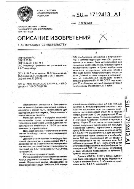 Штамм medicago sатivа l. - продуцент пероксидазы (патент 1712413)