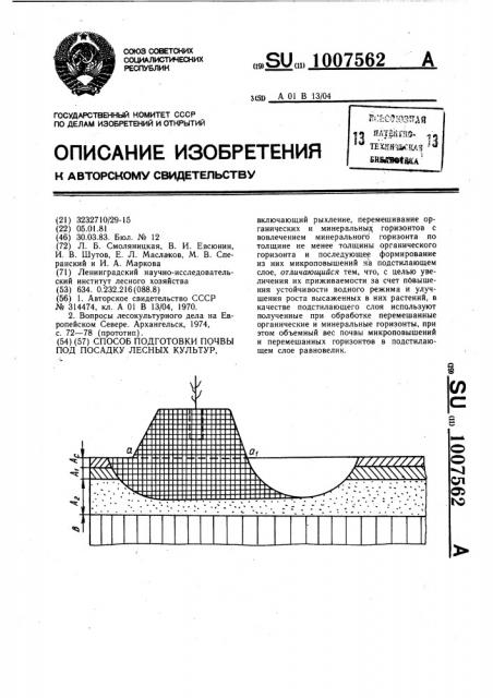 Способ подготовки почвы под посадку лесных культур (патент 1007562)