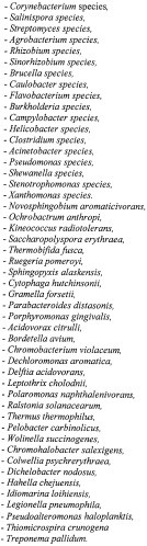 Способ идентификации и дифференциации прокариотических организмов (патент 2486251)