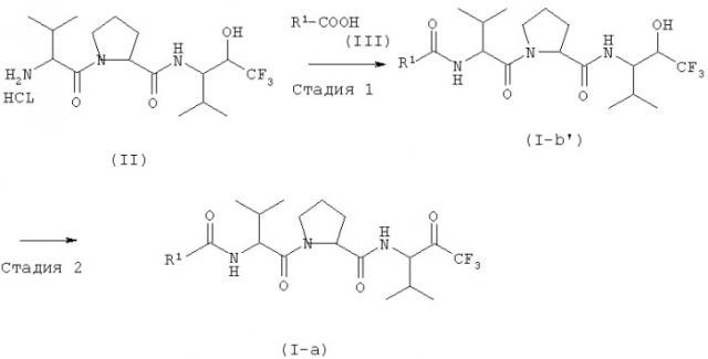 Гетероциклические соединения с эластазоингибирующей активностью и их производные, а также фармацевтическая композиция и средство на их основе (патент 2319708)