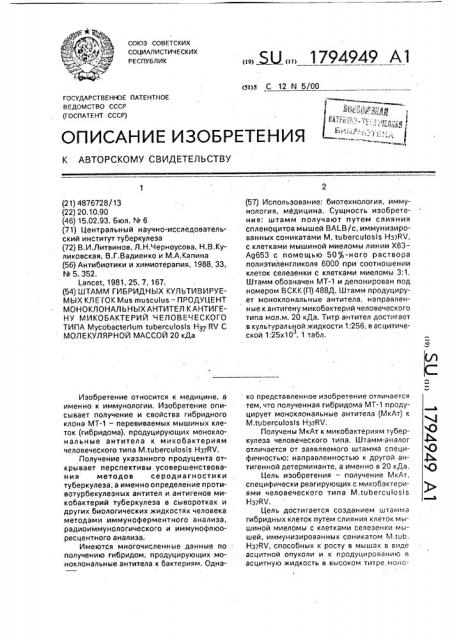 Штамм гибридных культивируемых клеток mus мusсulus l- продуцент моноклональных антител к антигену микобактерий человеческого типа мyсовастеriuм тuвеrсulоsis н @ rv с молекулярной массой 20 к д @ (патент 1794949)