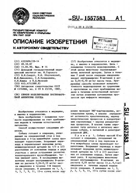 Способ моделирования постинфарктной аневризмы сердца (патент 1557583)