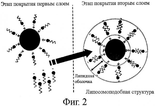 Взаимодействие пищевого белка и заряженного эмульгатора (патент 2460308)