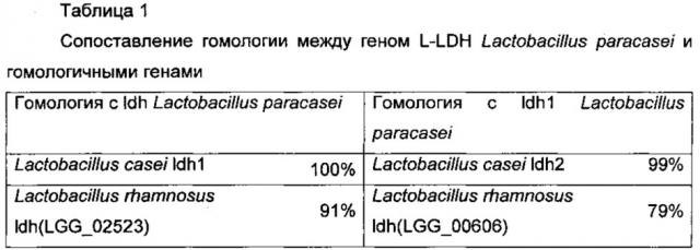 Штамм, продуцирующий d-молочную кислоту, и его применение (патент 2639507)