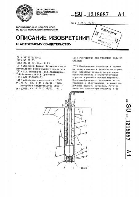 Устройство для удаления воды из скважин (патент 1318687)