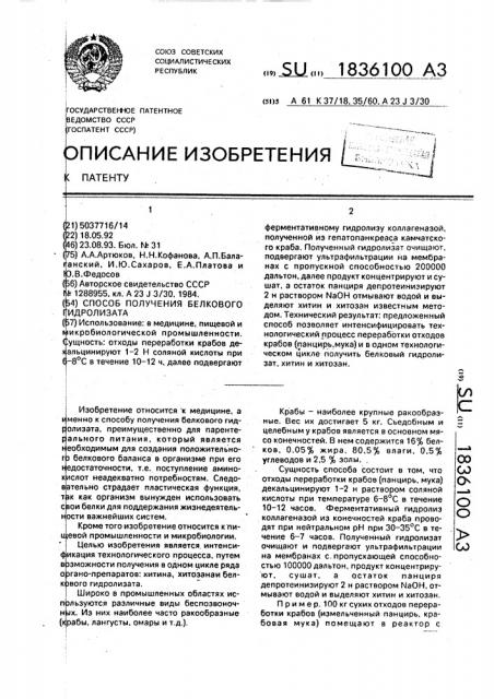 Способ получения белкового гидролизата (патент 1836100)