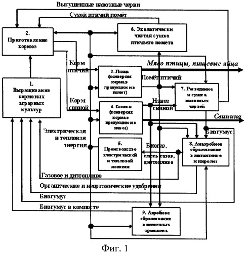 Комплекс безотходного птицеводства и свиноводства с собственным производством кормов и энергии (патент 2423826)