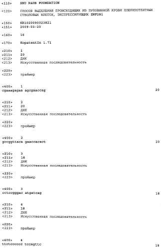 Способ выделения происходящих из пуповинной крови плюрипотентных стволовых клеток, экспрессирующих znf281 (патент 2511417)